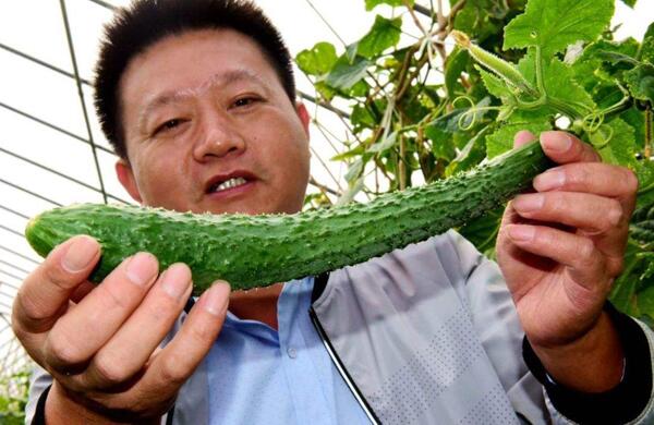 生鮮食材配送為什么大多不能與客戶建立長期合作？