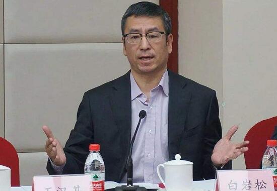 武漢“封城”效果是否明顯？上班后食堂集中用餐如何防護(hù)？白巖松連線